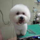 달링동물병원 이미지