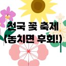 농업회사법인 낭도파크㈜ | 2025 전국 가을 꽃 축제 꼭 가볼 만한 곳 추천!
