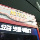 넷플릭스 앤드 칠