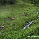 하늘마루염소목장 이미지