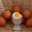 밀알농장 이미지