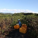 소야농장 이미지