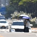 아지랑이 이미지