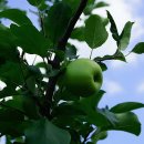 신정호국민관광지 이미지