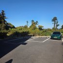 디트루키친 제주도 파스타,스테이크 양식 맛집 <b>디</b><b>트루</b><b>키친</b> #내돈내산 #솔직후기