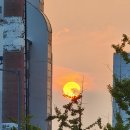 퇴근길 - 논산시 | 퇴근길