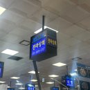 노량진에서 사계절 내내 즐길 수 있는 삼배체굴 후기/ 전라상회 횟집 모둠 회 추천