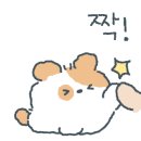 장덕풍천장어마산 이미지