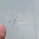 부산자동차유리복원 - 해운대구 마린시티2로 2 | 부산자동차유리복원