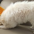 경아테크 이미지