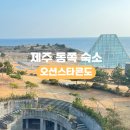 오션스타 | 제주 동쪽 성산일출봉 섭지코지 근처 가성비 오션스타 콘도 반려견 동반 숙소 후기