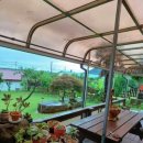 언덕배기 해오름집 이미지