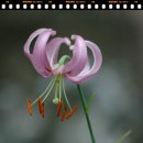 괴산식당 이미지