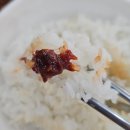 군내리 | 전남 완도 맛집 개성순두부 내돈내산 솔직후기
