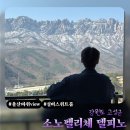 설악울산바위식당 | 고성 소노펠리체 델피노 실버스위트 설악마운틴뷰 투숙 후기 | 울산바위 view 숙소