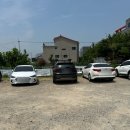 김해 진영 신상 맛집 진영짬뽕내돈내산 이비가짬뽕 솔직후기