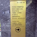 고속터미널역 네일 새로오픈한 원베일리네일 시그너스 반포점