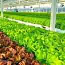 현대자동차신안점 | 굿 브랜드 리뷰&amp;후기-네이버 새벽배송 본격시작