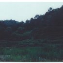 청송목장 이미지