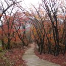 [서울] 북악산, 북악스카이웨이 늦가을 나들이 ＜백사실계곡, 북악산길, 북악팔각정, 북악하늘길＞ 이미지