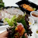 일월수산횟집