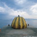 가을날 역사여행 이미지