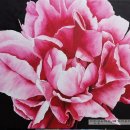 이진수지 이미지