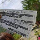 강풍경 파크 | 여행] 보홀 육상투어,시티투어 후기 및 비용,가격 (Feat. 로복강, 초콜렛힐, 나비농장,ATV,짚라인 등)