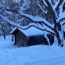 통나무펜션&편백쉼터 이미지