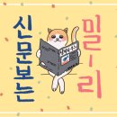 고양이 낚싯대 이미지