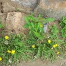 팔공산힐링 이미지