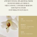 릴리프롬로즈 | 2030 여성선물추천 | 강민경 포트레 핸드크림 누보 네이키드 릴리 30ml 내돈내산 후기