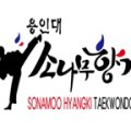 용인대 정도 태권도장 2관 이미지