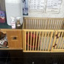 보경 동물병원 이미지