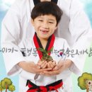 한국태권도컨설팅 이미지