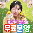 대실역남로4길 | 대구고양이분양 똑똑했던 입양 후기