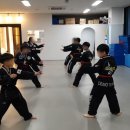 용인대 남양 태권도장 이미지