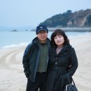 대천해수욕장 이미지
