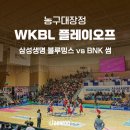 용인체육관 | 삼성생명 vs BNK 썸 2024-25 WKBL 여자농구 플레이오프 4차전 용인실내체육관 직관 후기