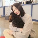 혼자두면 장판뜯어서 차린 개카페 이미지