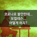 프로보컬인스티튜트 이미지