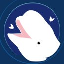 제주벨루가 이미지