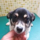 서부북로 이미지