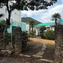 샤인펫 (Shine pet) | 오트하우스 ㅣ 종달리카페 지미봉근처카페 종달리브런치 제주애견동반카페