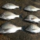 선비목욕탕 이미지