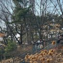 도서관나들이 이미지