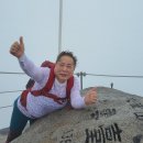 천무유통 이미지