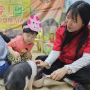 쥬니멀 Daum카페