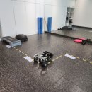 동신대학교목포한방병원 이미지
