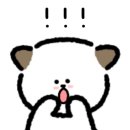 미야옹 이미지